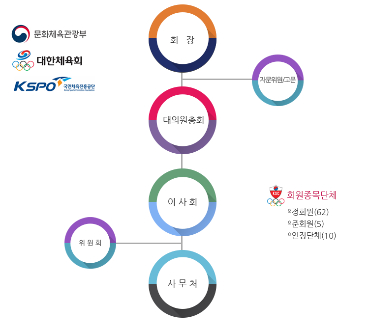 조직도 회장-대의원총회-이사회-사무처 위원회,자문위원/고문